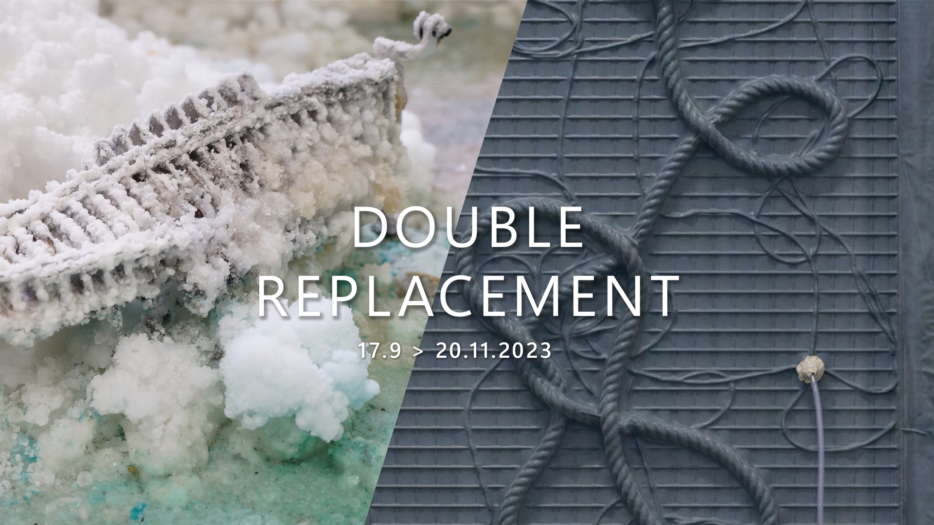 DOUBLE REPLACEMENT – Finissage, Artists Talk & Borrel!